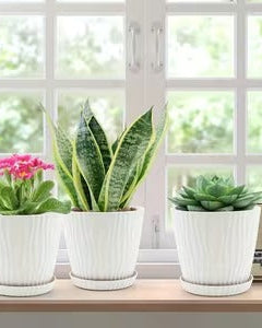 Collection image for: Planters & Containers