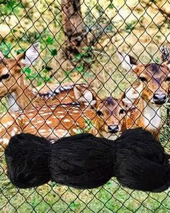 Collection image for: Backyard Livestock & Bee Care