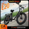 Electric Bikes