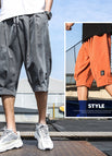 Gray shorts (2055)