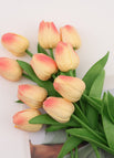 Cream Peach