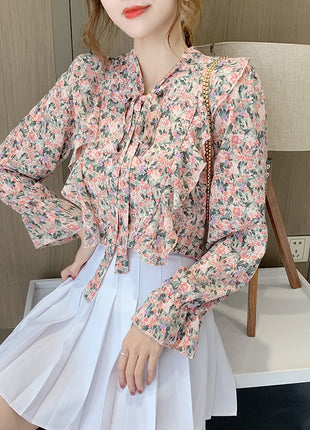 Spring Fashionable Chiffon Long-Sleeve Bow Blouse, Korean Western Style