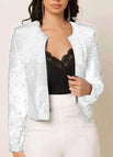 Large silver sequins
