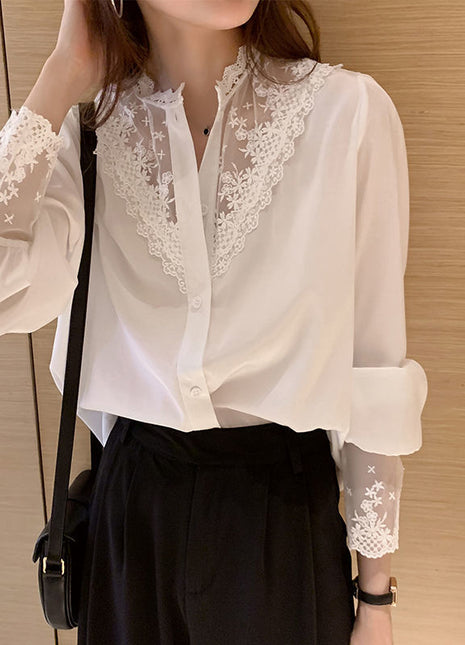 Elegant Lace Chiffon Blouse, Long Sleeve Slim Fit Women's Stylish Top