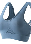 Lake Blue-A chest pad / S: 90-110 catties / NO PAD