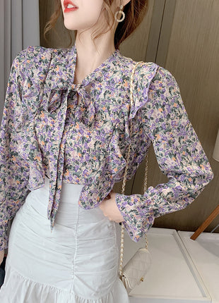 Spring Fashionable Chiffon Long-Sleeve Bow Blouse, Korean Western Style