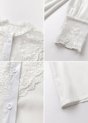 Elegant Lace Chiffon Blouse, Long Sleeve Slim Fit Women's Stylish Top